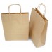 Paper Bag / Brown Paper Bag (Medium)